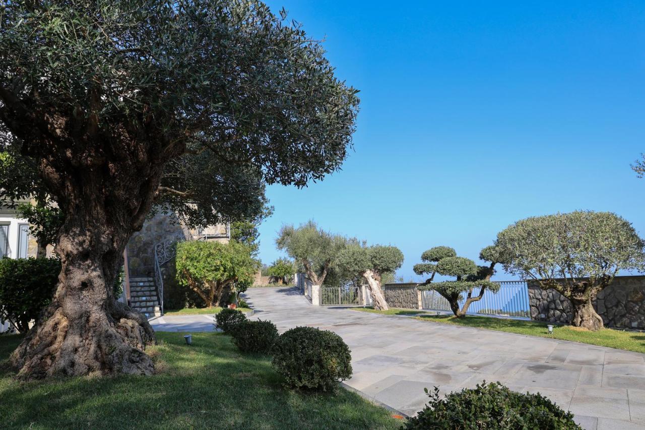 Villa Italia Sorrento Termini Eksteriør bilde