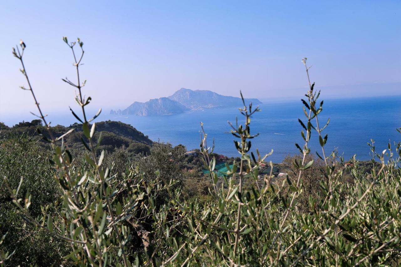 Villa Italia Sorrento Termini Eksteriør bilde