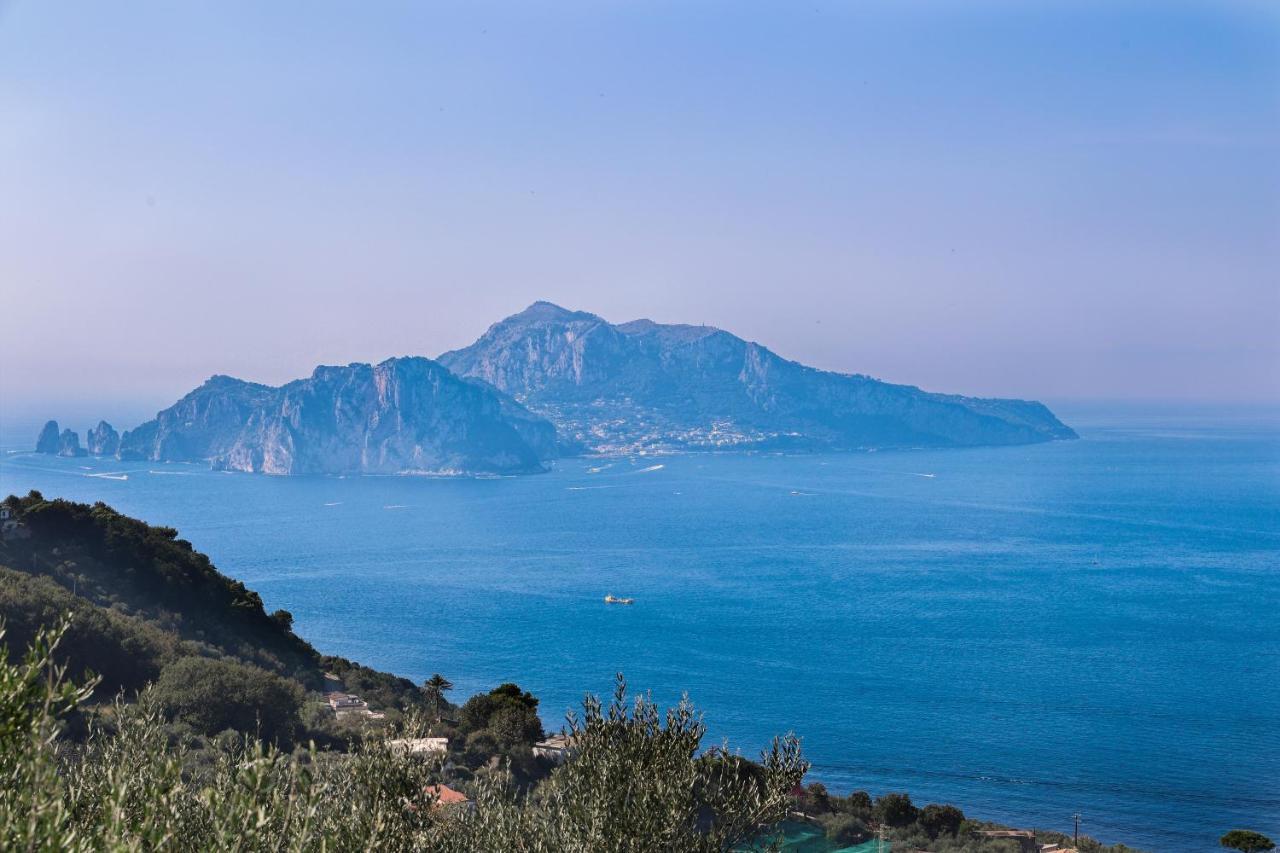 Villa Italia Sorrento Termini Eksteriør bilde