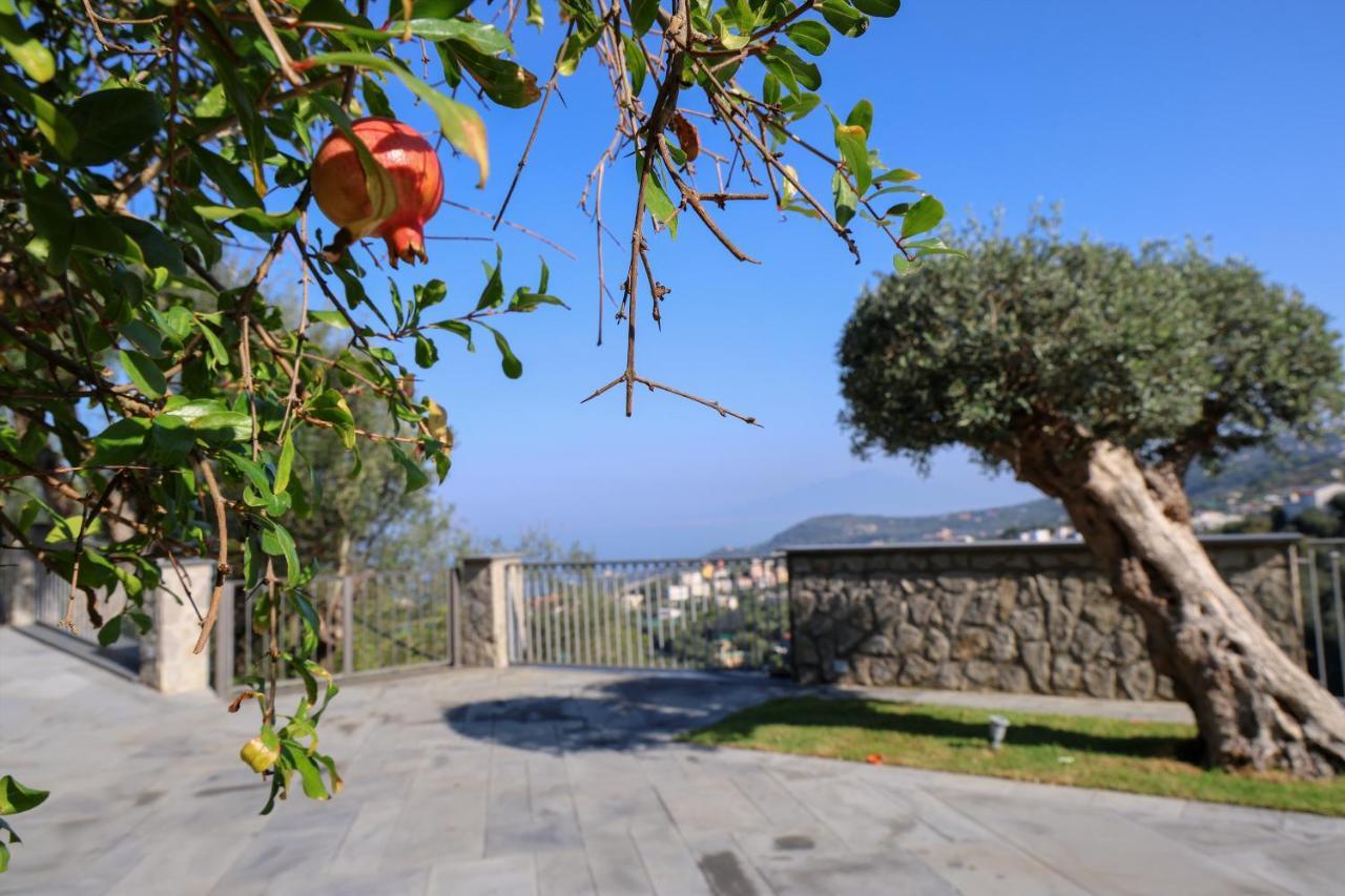 Villa Italia Sorrento Termini Eksteriør bilde